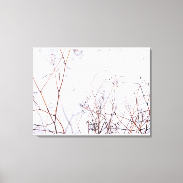 Lienzo Flores silvestres de invierno abstractas y moderna (Anverso)