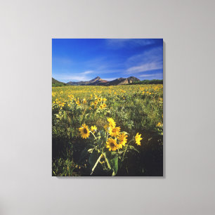 Lienzo Flores silvestres de raíces de arrowleaf en Water