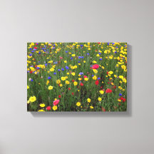 Flores silvestres de verano de Loch Ness