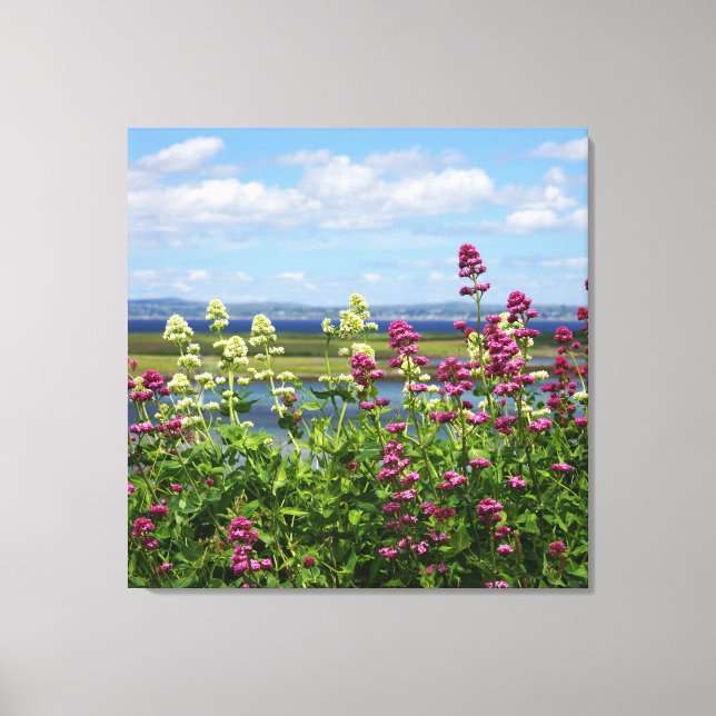 Lienzo Flores silvestres en Irlanda (Anverso)