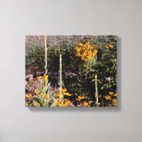 Flores Susan Flowers de Wild Mulleins Black Eyed