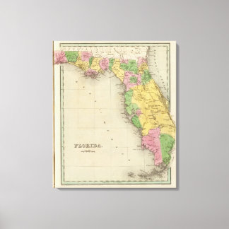 Lienzo Florida