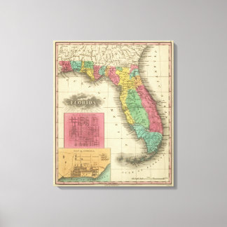 Lienzo Florida
