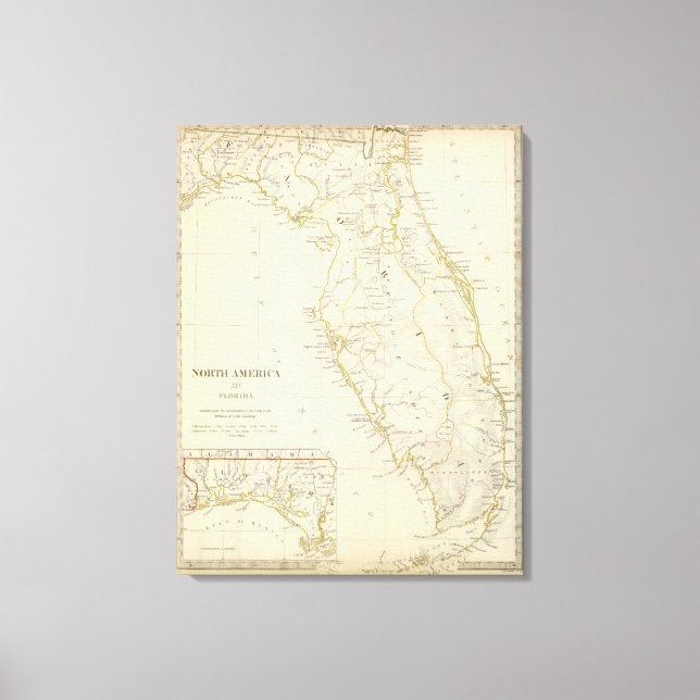 Lienzo Florida 11 (Anverso)