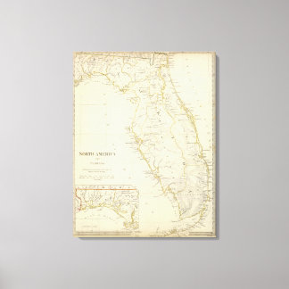 Lienzo Florida 11
