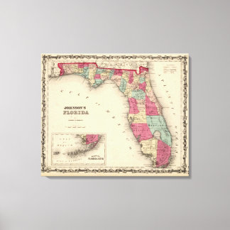 Lienzo Florida 11