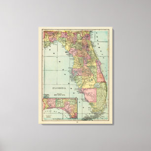 Lienzo Florida 13