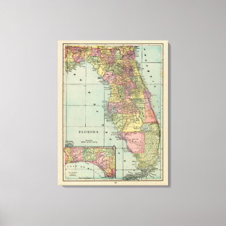 Lienzo Florida 13