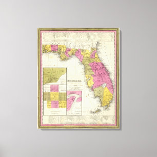 Lienzo Florida 15