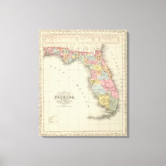 Lienzo Florida 2