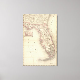 Lienzo Florida 3