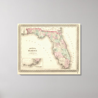 Lienzo Florida 3