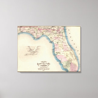 Lienzo Florida 4