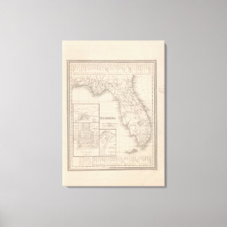 Lienzo Florida 5