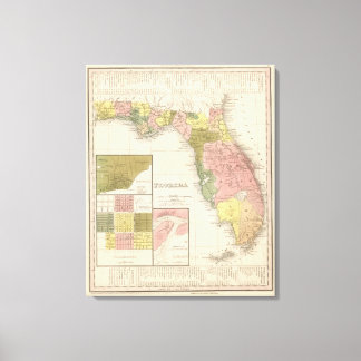Lienzo Florida 6