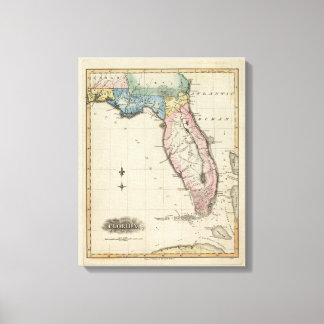 Lienzo Florida 6