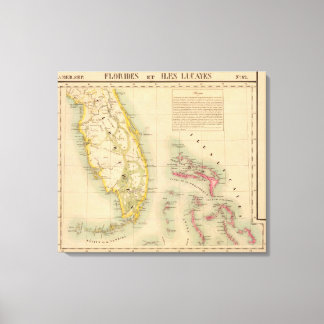Lienzo Florida 62