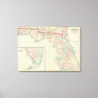 Lienzo Florida 7