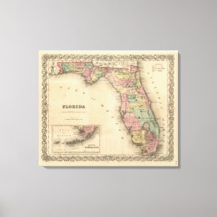 Lienzo Florida 7