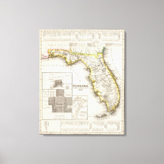 Lienzo Florida 8