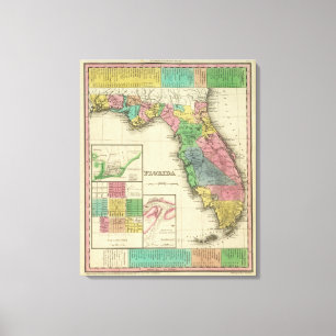 Lienzo Florida 8