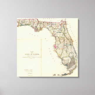 Lienzo Florida 9