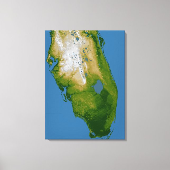 Lienzo Florida del Sur (Anverso)