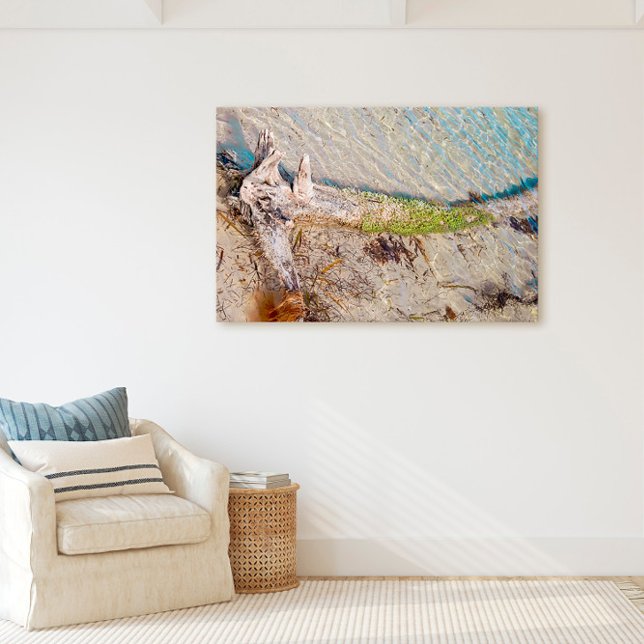 Lienzo Florida Keys Bahia Honda Driftwood Shore (Subido por el creador)