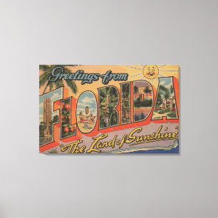 Lienzo Florida - La tierra del sol