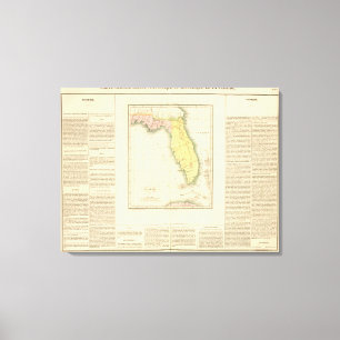 Lienzo Florida US