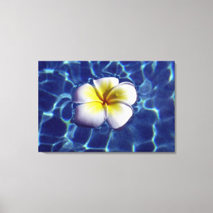 Lienzo FLOTANDO FRANGI 24x36