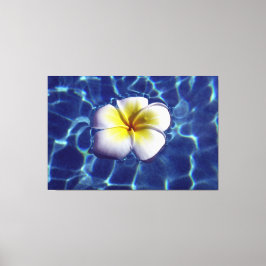 Lienzo FLOTANDO FRANGI 40x60