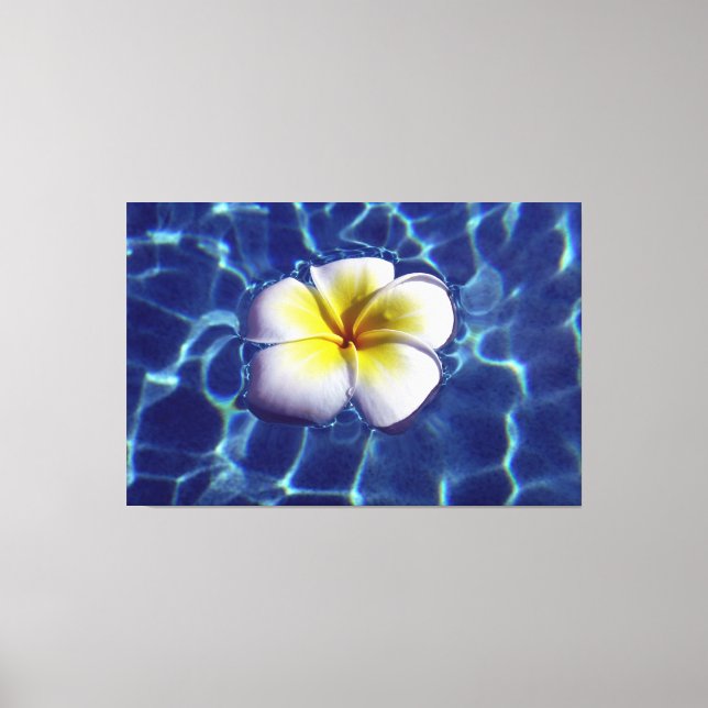 Lienzo FLOTANDO FRANGI 40x60 (Anverso)