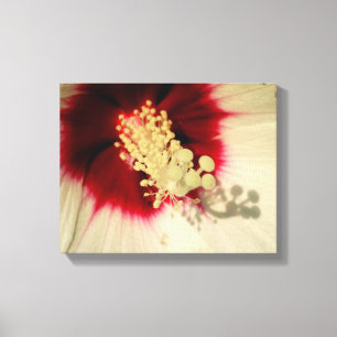 Lienzo Flower Close Photo Single Art Poster