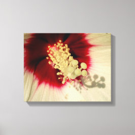 Lienzo Flower Close Photo Single Art Poster