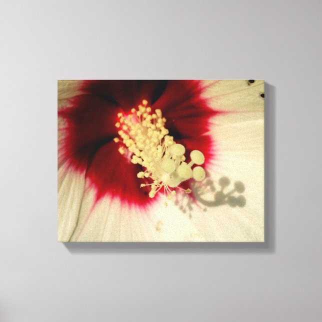 Lienzo Flower Close Photo Single Art Poster (Anverso)