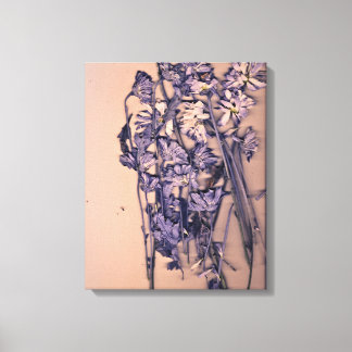 Lienzo Flowers in a pink light