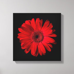 Lienzo Flowers   Red Gerbera Daisy