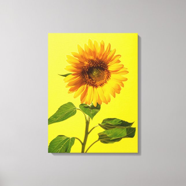 Lienzo Flowers | Sunflower on Yellow (Anverso)