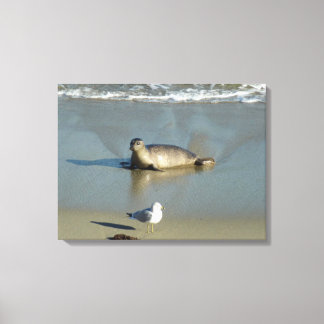 Lienzo Foca común en La Jolla California