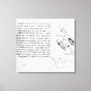 Lienzo Fol. 49v del Codex Arundel 263, 1490s-1518