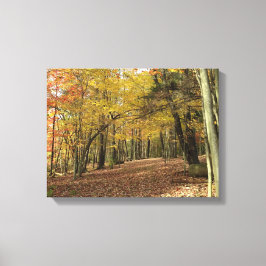 Lienzo Foliage de otoño: Serene Autumn Woods