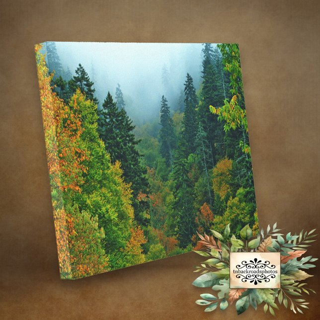 Lienzo Foliage Smoky Mountain Fall (Subido por el creador)