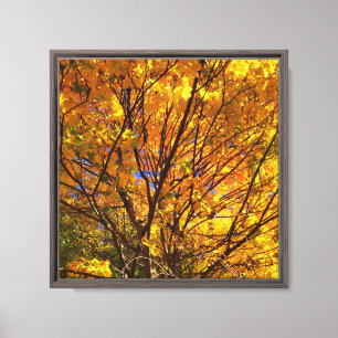 Lienzo Follaje Amarillo de Otoño