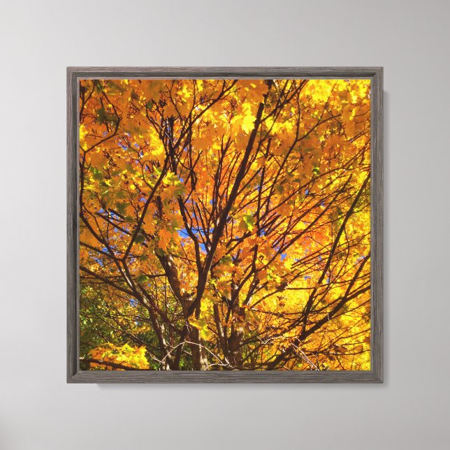Lienzo Follaje Amarillo de Otoño (Anverso)