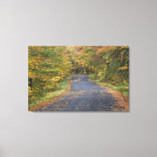 Lienzo Follaje de otoño en la carretera, sur de Vermont, 