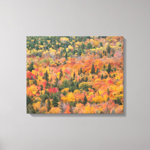 Lienzo Follaje de otoño Península de Keweenaw, Michigan