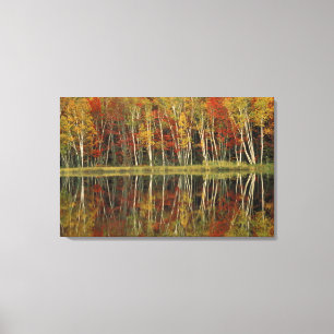 Lienzo Follaje de otoño y reflejos de abedul; Hiawatha