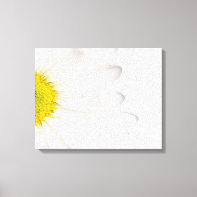 Lienzo Fondo de la flor de margarita blanca Daisies perso (Anverso)