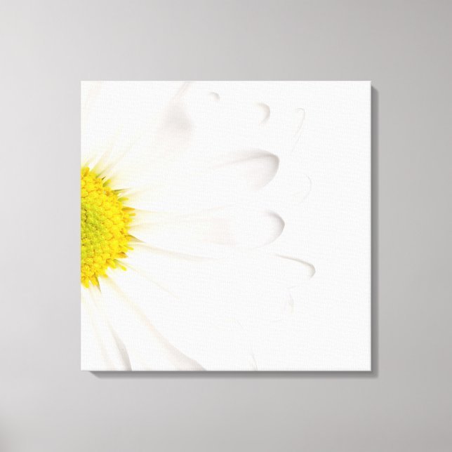 Lienzo Fondo de la flor de margarita blanca Daisies perso (Anverso)